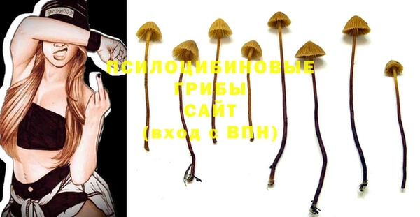 PSILOCYBIN Волосово