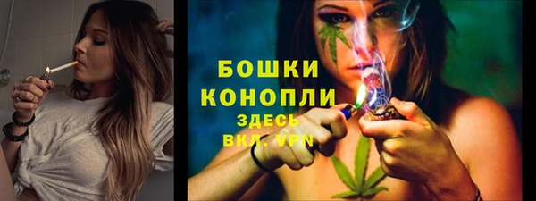 PSILOCYBIN Волосово
