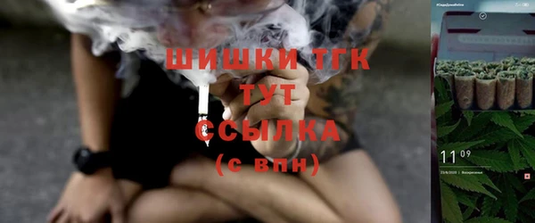 PSILOCYBIN Волосово
