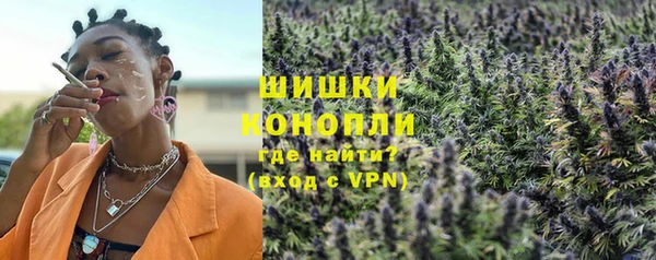 PSILOCYBIN Волосово