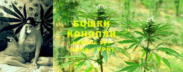 амф Володарск