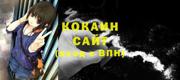 PSILOCYBIN Волосово