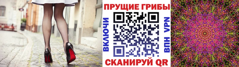 Псилоцибиновые грибы Magic Shrooms  Купить где  Ессентукская 